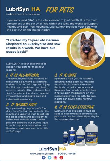 LubriSyn HA for pets flyer.