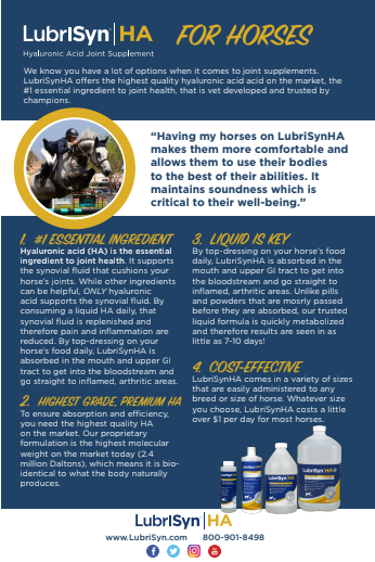 LubriSyn HA for horses flyer.