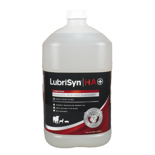 LubriSyn HA + MSM Livestock gallon