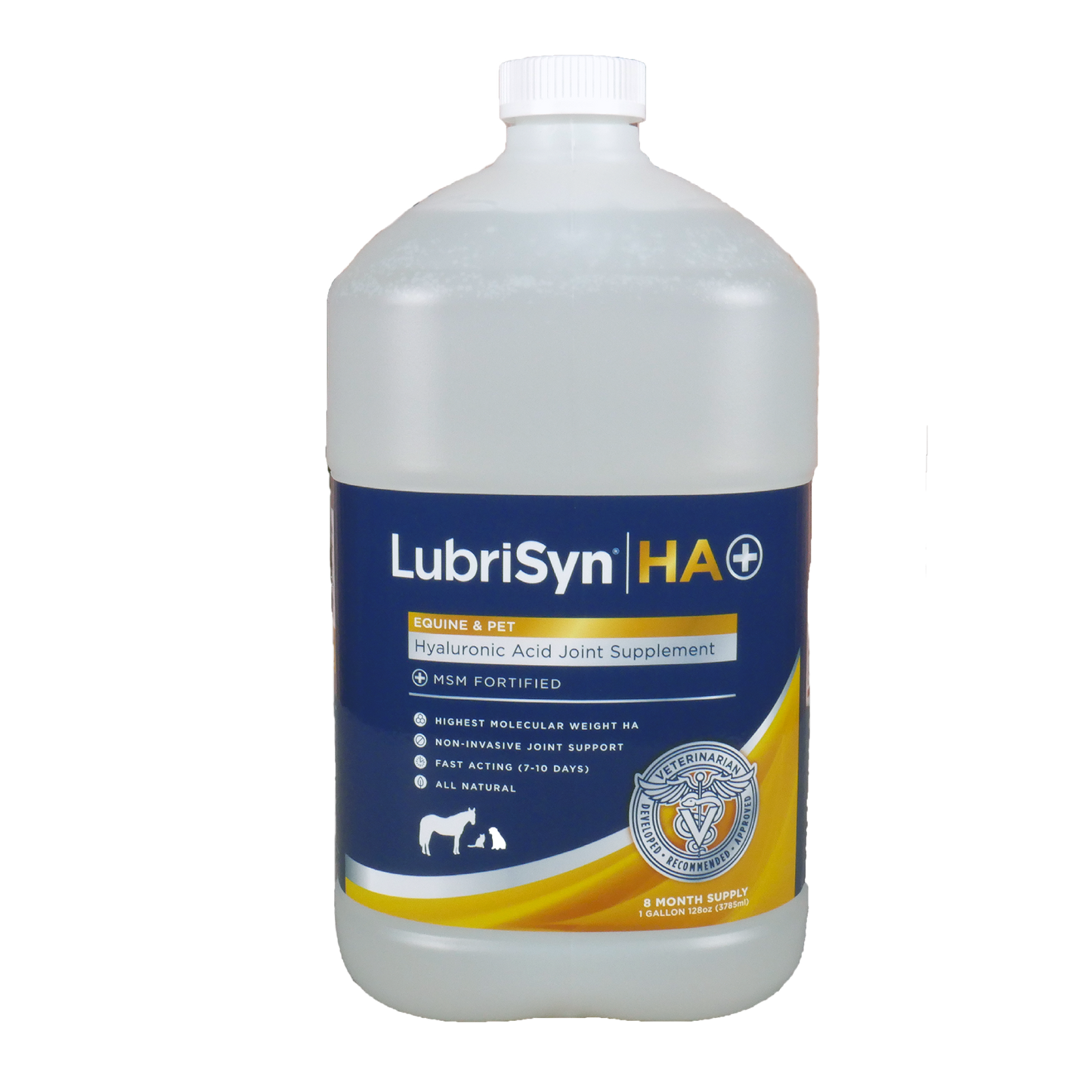 LubriSyn HA + MSM gallon. 
