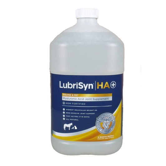 LubriSyn HA + MSM gallon. 